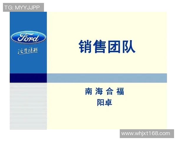 北京羽毛球队配合策略分析与团队协作提升探讨